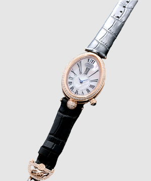 브레게 [Breguet]브레게 레인 드 네이플-80 칼리버 37mm